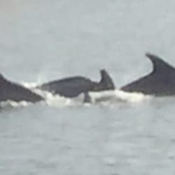 Crainsail Bay Adventures