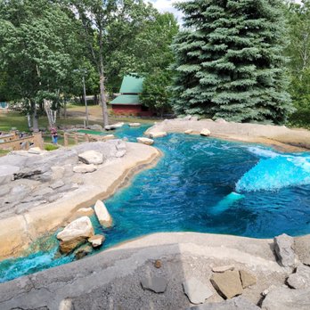 Sandy Dunes Adventure Golf - Challenging yet fun and not too hard course. - Mini Golf Near Me - Port Austin, Michigan Sandy Dunes Adventure Golf - Challenging yet fun and not too hard course. - Mini Golf Near Me - Port Austin, Michigan