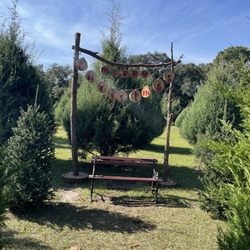 Blue Acres Farm - Another quant photo op