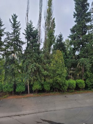 Photo of Holiday Inn Express Bothell - Bothell, WA, US.