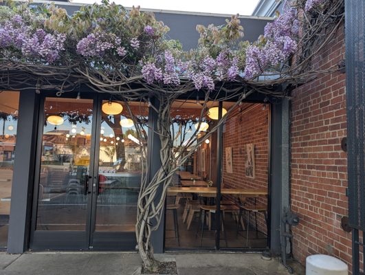 Evergreen Cafe by null