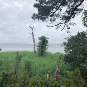 Cypress Moon Inn Bed & Breakfast - View from the porch (photo doesn't do it justice). Beautiful, even on a cloudy day - Hotels Near Me - Kitty Hawk, North Carolina Cypress Moon Inn Bed & Breakfast - View from the porch (photo doesn't do it justice). Beautiful, even on a cloudy day - Hotels Near Me - Kitty Hawk, North Carolina