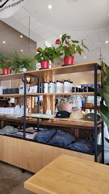 The Boy & The Bear - Sherman Oaks by null