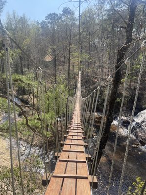 ZipQuest - Waterfall & Treetop Adventure by null