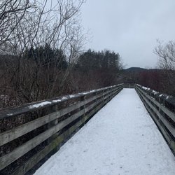 Langford Lake - Bridge