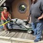 Photo of Cannonball Movers