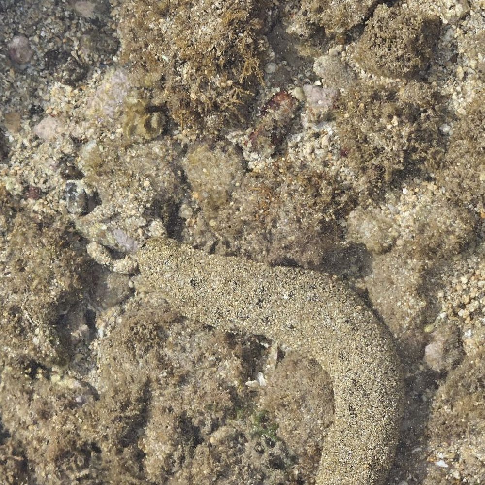 Hauula Beach Park - Parks Near Me - Hauula, Hawaii