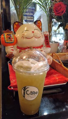 Cane Concoctions by null