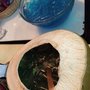 Photo of Cocos Locos