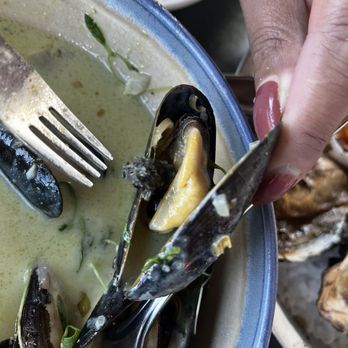 Hog Island Larkspur - Not fully cleaned mussels - Seafood Near Me - Larkspur, California Hog Island Larkspur - Not fully cleaned mussels - Seafood Near Me - Larkspur, California