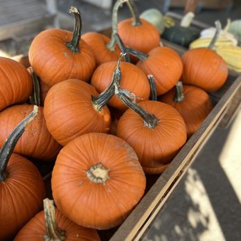 Pearl's Place - a crate of pumpkins - Fruits & Veggies Near Me - Hood River, Oregon Pearl's Place - a crate of pumpkins - Fruits & Veggies Near Me - Hood River, Oregon
