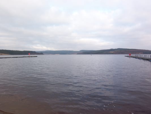 Kielder Forest by null