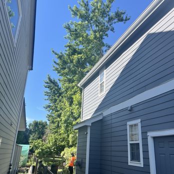 M & H Tree Service - Tree Services Near Me - Aurora, Colorado M & H Tree Service - Tree Services Near Me - Aurora, Colorado