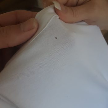 Flash Cleaners - Another hole - Dry Cleaning Near Me - Lake Worth, Florida