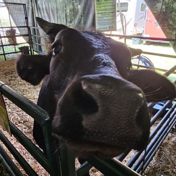 Tennessee State Fair - Festivals Near Me - Nashville, Tennessee Tennessee State Fair - Festivals Near Me - Nashville, Tennessee