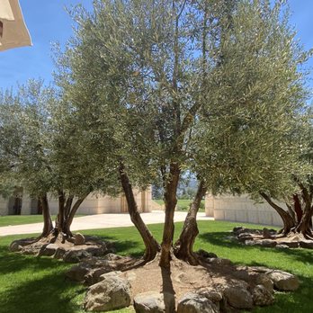Opus One Winery - Wineries Near Me - Oakville, California Opus One Winery - Wineries Near Me - Oakville, California