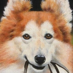 Heeling Free-Dog School
