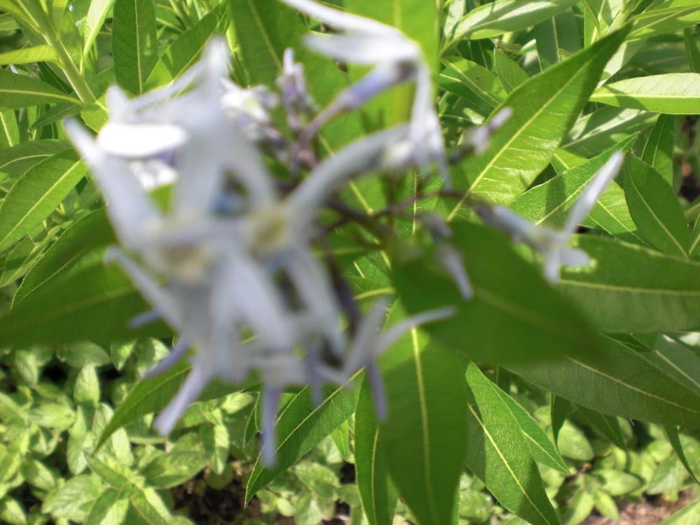 Nepal Himalaya Pavillon