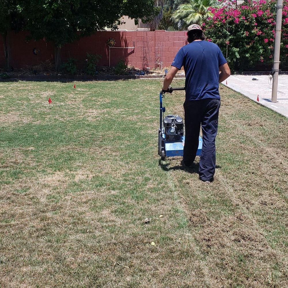 A1 Lawn Aeration - Dethatching - Lawn Services Near Me A1 Lawn Aeration - Dethatching - Lawn Services Near Me