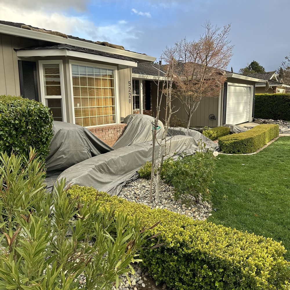 Cost Less Fumigation - Tent left in disarray around neighbor's yard, hours after they left it up in a forecasted wind storm - Pest Control Near Me - San Jose, California Cost Less Fumigation - Tent left in disarray around neighbor's yard, hours after they left it up in a forecasted wind storm - Pest Control Near Me - San Jose, California