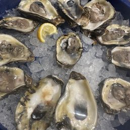 Raw Louisiana Oysters