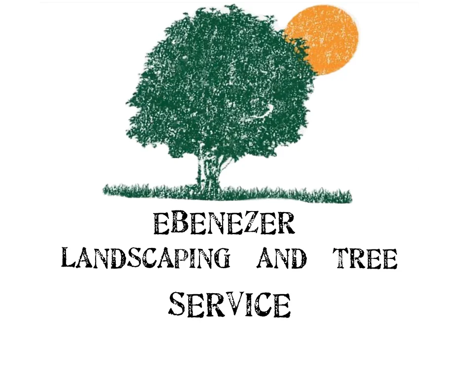 Ebenezer Landscaping and Tree Service - tree service in Santa Fe, NM