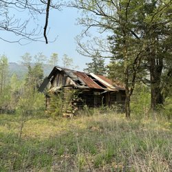Sherry Hamby - McGraw Realtors - 80 acres, Harvest Rd., Mena, AR