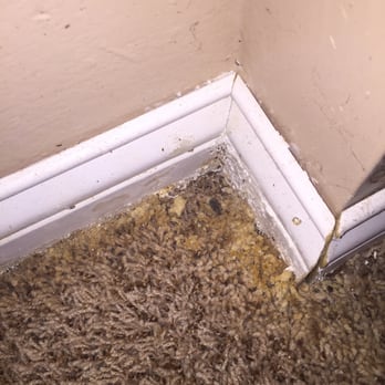 ServiceMaster Cleaning & Restoration by NEK - Lawrence - Nasty residue left after steam cleaning carpet - Carpet Cleaning Near Me - Lawrence, Kansas ServiceMaster Cleaning & Restoration by NEK - Lawrence - Nasty residue left after steam cleaning carpet - Carpet Cleaning Near Me - Lawrence, Kansas