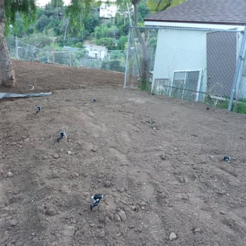 RotoTillerGuy - Rod A.: Finished product vegetable garden - Landscaping Near Me - North Hollywood, California RotoTillerGuy - Rod A.: Finished product vegetable garden - Landscaping Near Me - North Hollywood, California