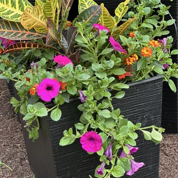 Begonia Brothers - Flower pots that begonia brothers designed - Landscaping Near Me - Northville, Michigan Begonia Brothers - Flower pots that begonia brothers designed - Landscaping Near Me - Northville, Michigan