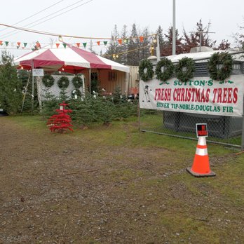 Sutton's Christmas Trees - Christmas Trees Near Me - Rocklin, California Sutton's Christmas Trees - Christmas Trees Near Me - Rocklin, California