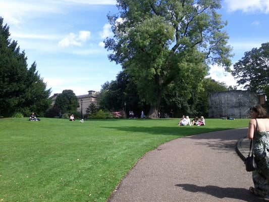 Museum Gardens by null