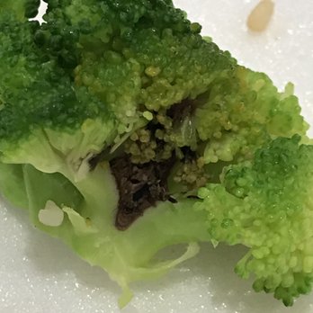 New Canton BBQ - Served rotten broccoli - Barbeque Near Me - Aurora, Colorado