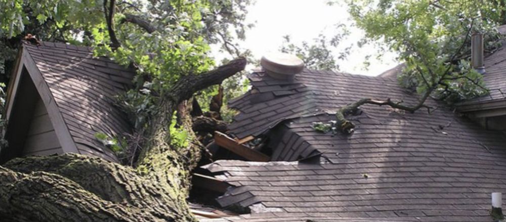 Slide of TM Roofing & Construction Group