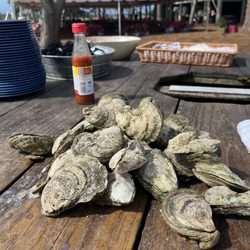 Mingo Point Oyster Roast and Bar-B-Que - Learned how to shuck these bad boys