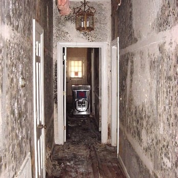 Indoor-Restore Mold Removal & Restoration - Damage Restoration Near Me - Salinas, California Indoor-Restore Mold Removal & Restoration - Damage Restoration Near Me - Salinas, California