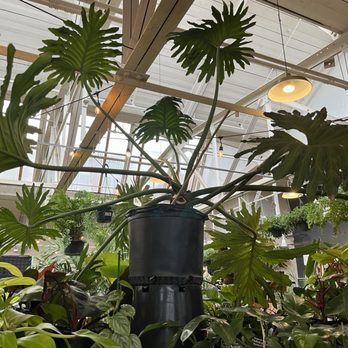 Jordan's Jungle - Nurseries & Gardening Near Me - Pawtucket, Rhode Island