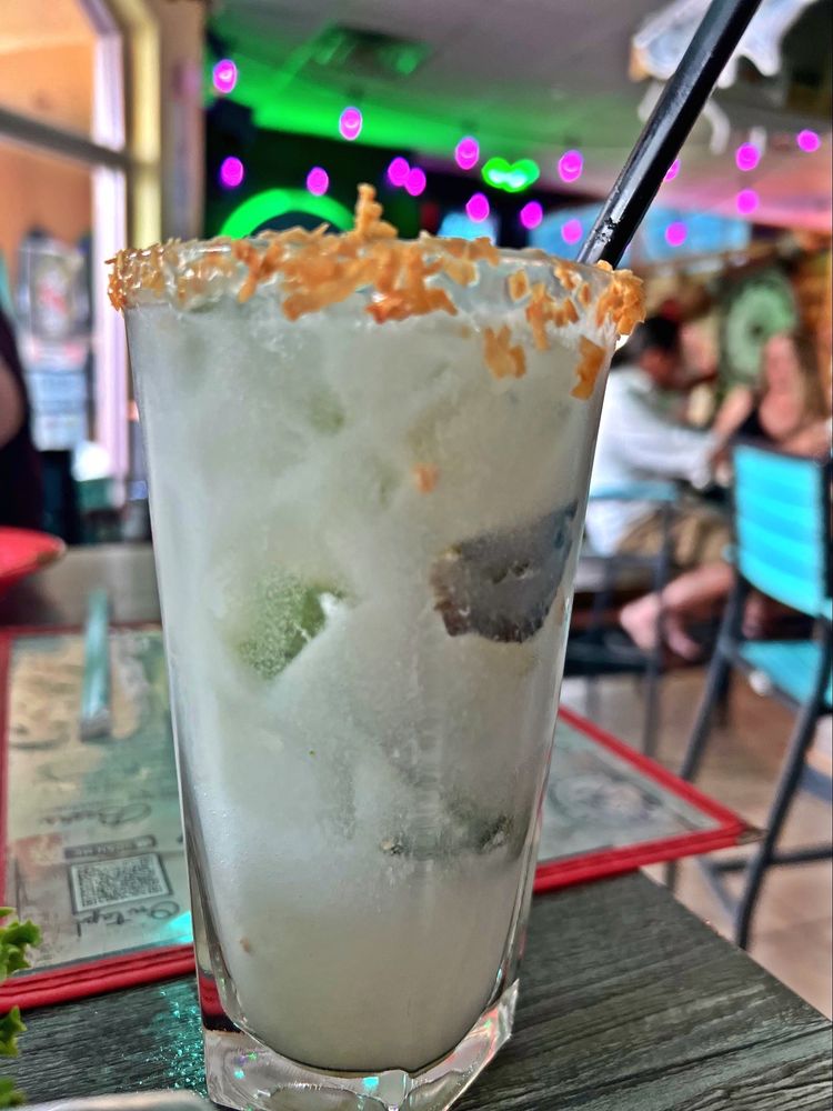 Bar Fly Safety Harbor