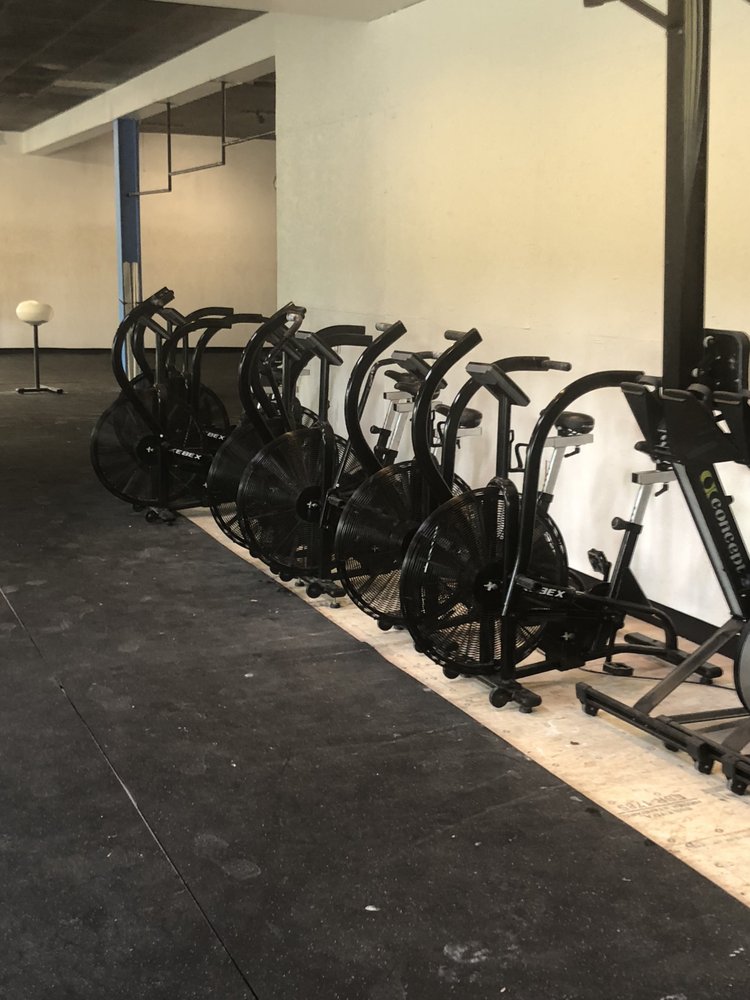 Evolution Physical Therapy Logo