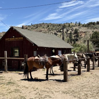 Leavitt Meadows Pack Station - Horseback Riding Near Me - Bridgeport, California Leavitt Meadows Pack Station - Horseback Riding Near Me - Bridgeport, California