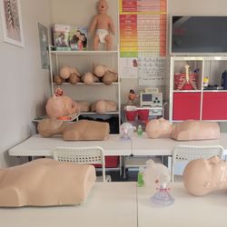 HeartSmart CPR Pinellas - Feedback equipment