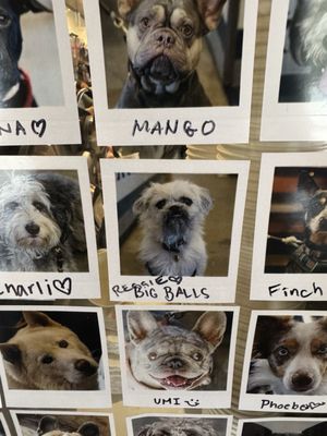 Alana's Coffee Roasters by null