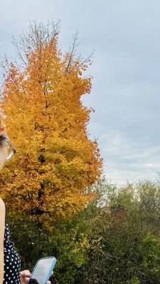 Sam Patch Erie Canal Tours by null