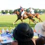 Photo of Newport Polo