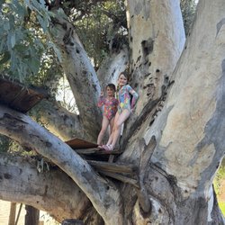 Primal Pastures - Kids climbing tree!!