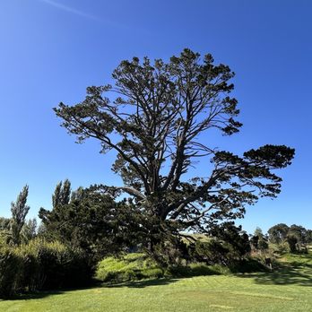 Hobbiton Movie Set - Walking Tours Near Me - Matamata, WKO