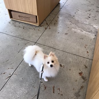 The Combine Kitchen - Dog friendly :) - Coffee & Tea Near Me - Rancho Cucamonga, California