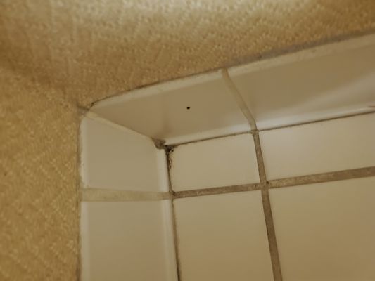 Comfort Inn Boston by null
