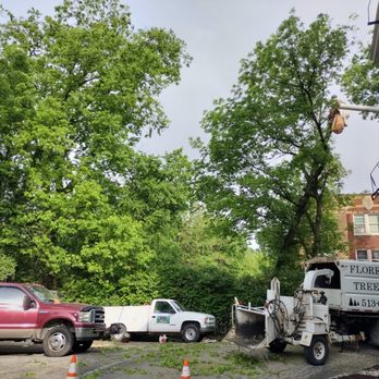 Florer Family Tree Service - Tree Services Near Me - Butler, Kentucky Florer Family Tree Service - Tree Services Near Me - Butler, Kentucky