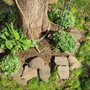 Photo of Tim & Did Landscaping